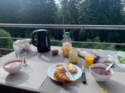 Studio Chamrousse 1700 Pour 4 Personnes - Au Calme - Avec Wifi Экстерьер фото